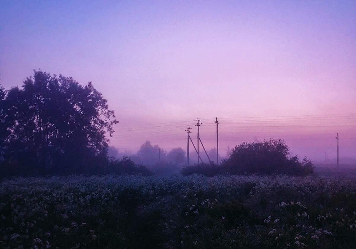 探寻极致体育竞猜体验：为何选择ag体育网站成为你赛事之旅的起点